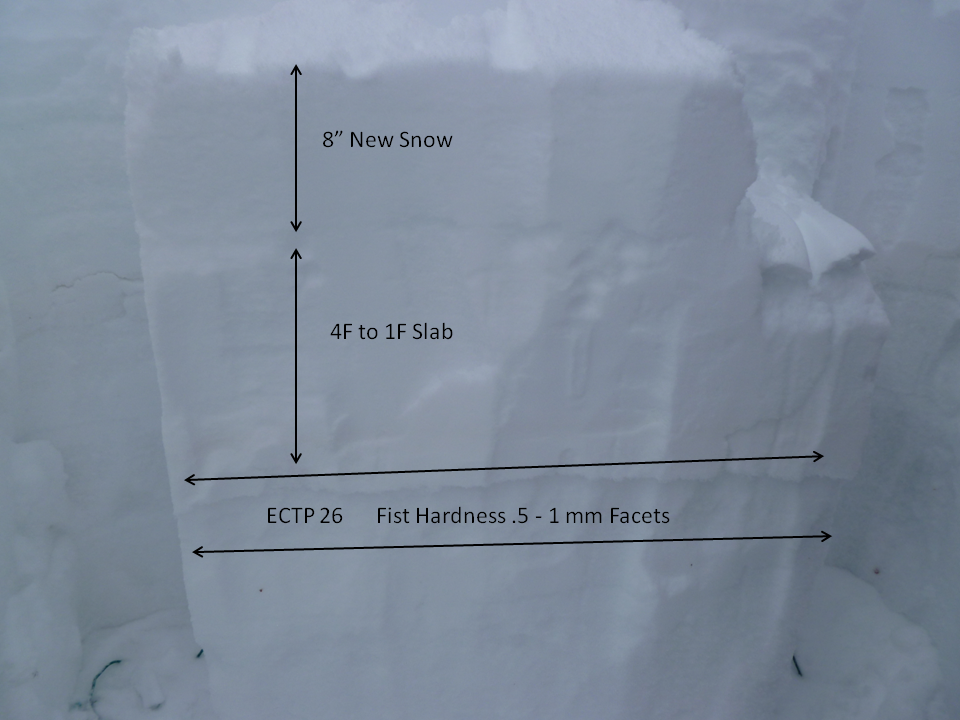 Bacon Rind Snowpack Bacon Rind Snowpack