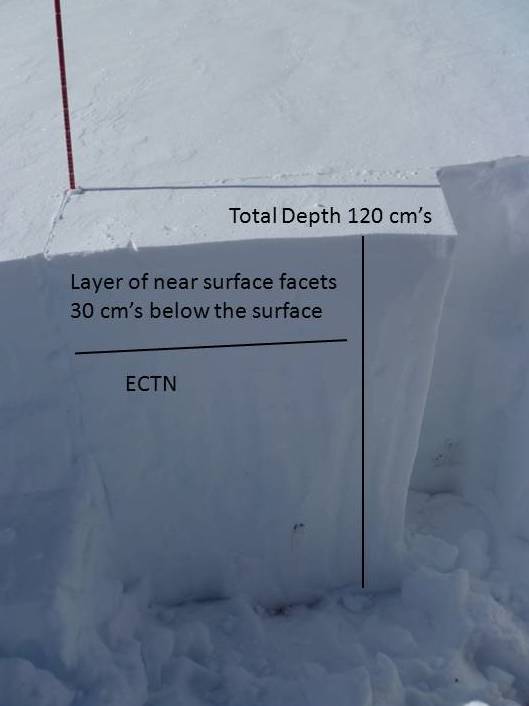 Bacon Rind Snowpack Bacon Rind Snowpack