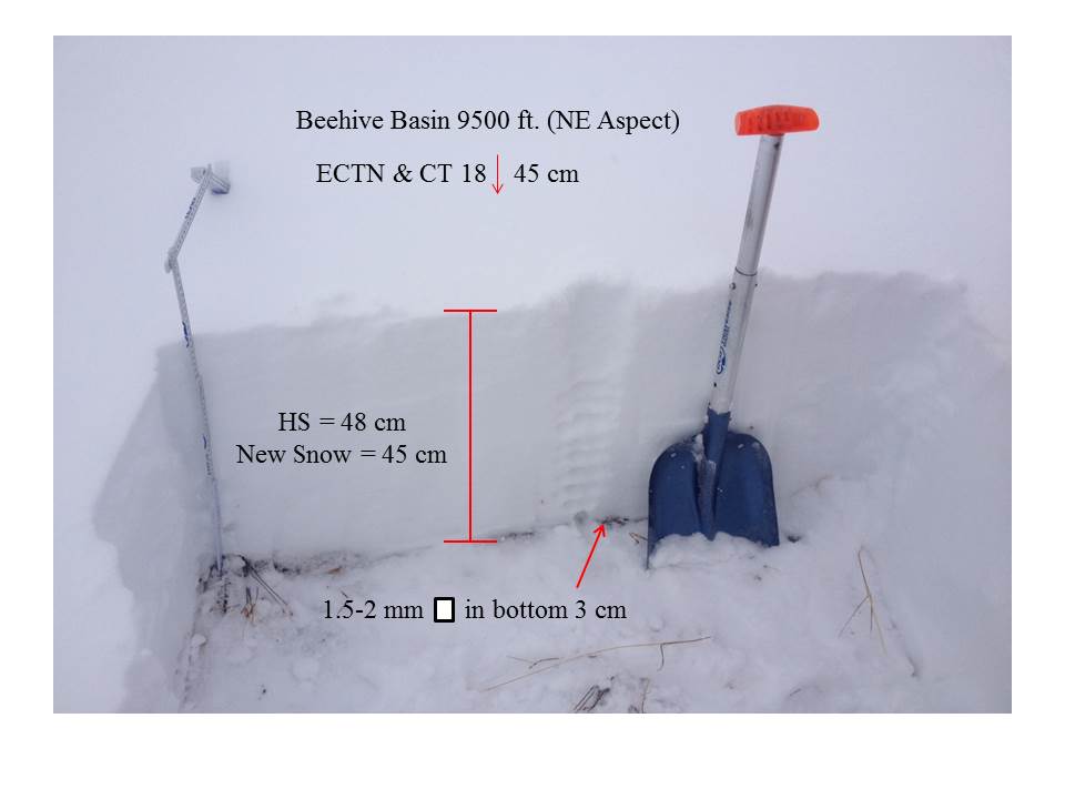 Beehive Basin - Nov. 4th Beehive Basin - Nov. 4th