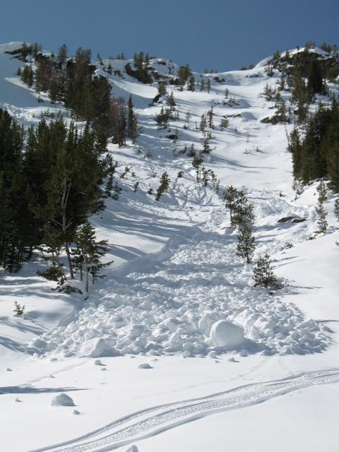 Wet Snow Avalanche