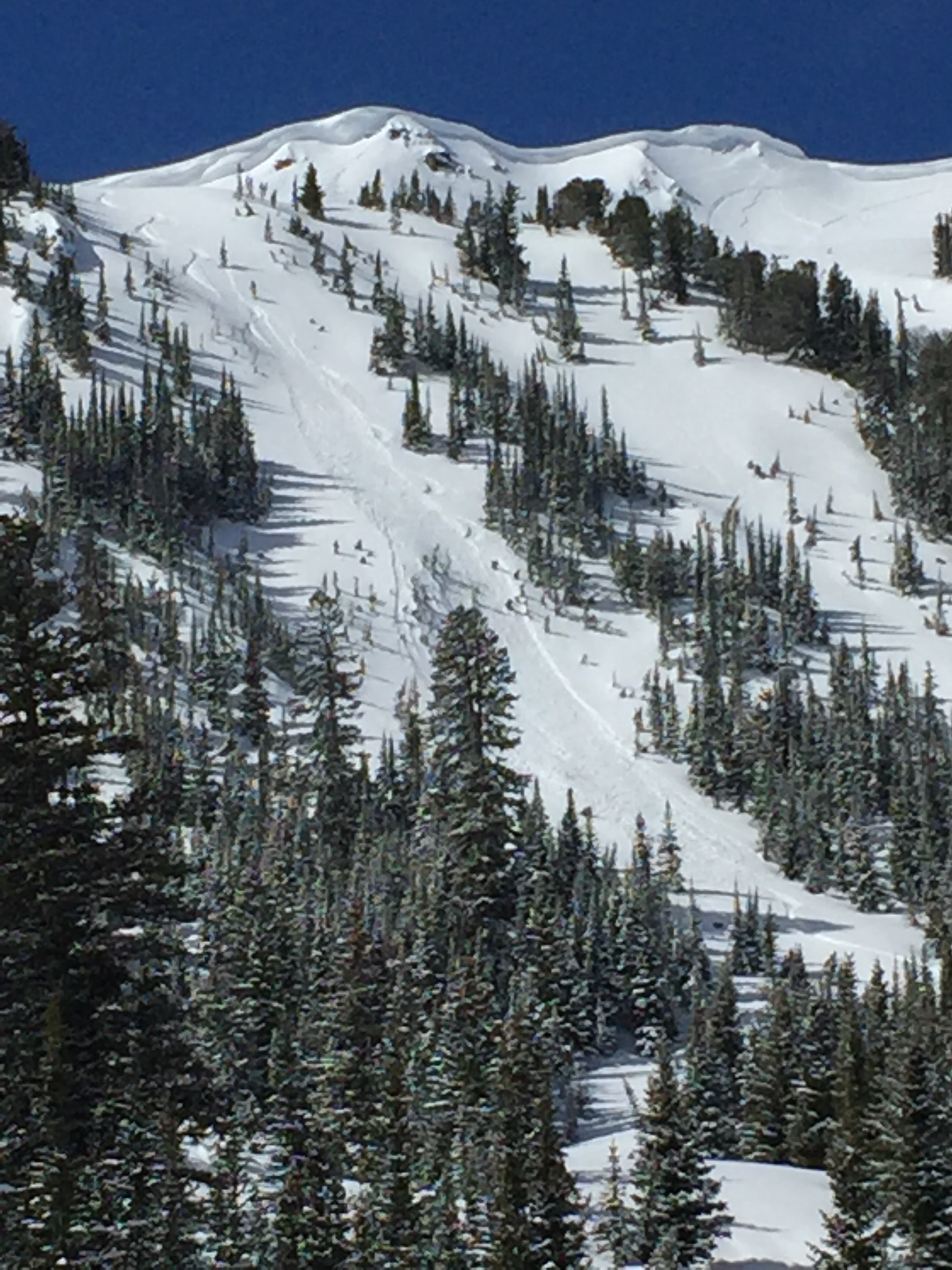 Skier triggered avalanche - Cooke City