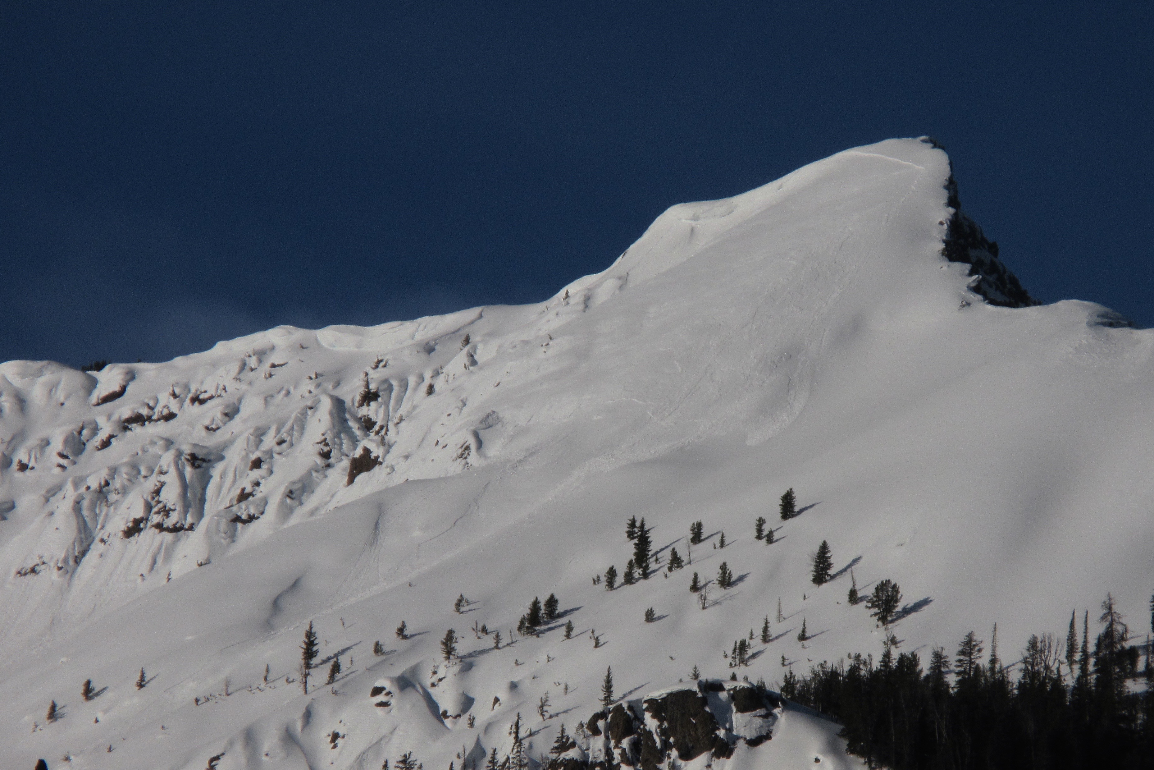 Avalanche on The Fin in Cooke City Avalanche on The Fin in Cooke City