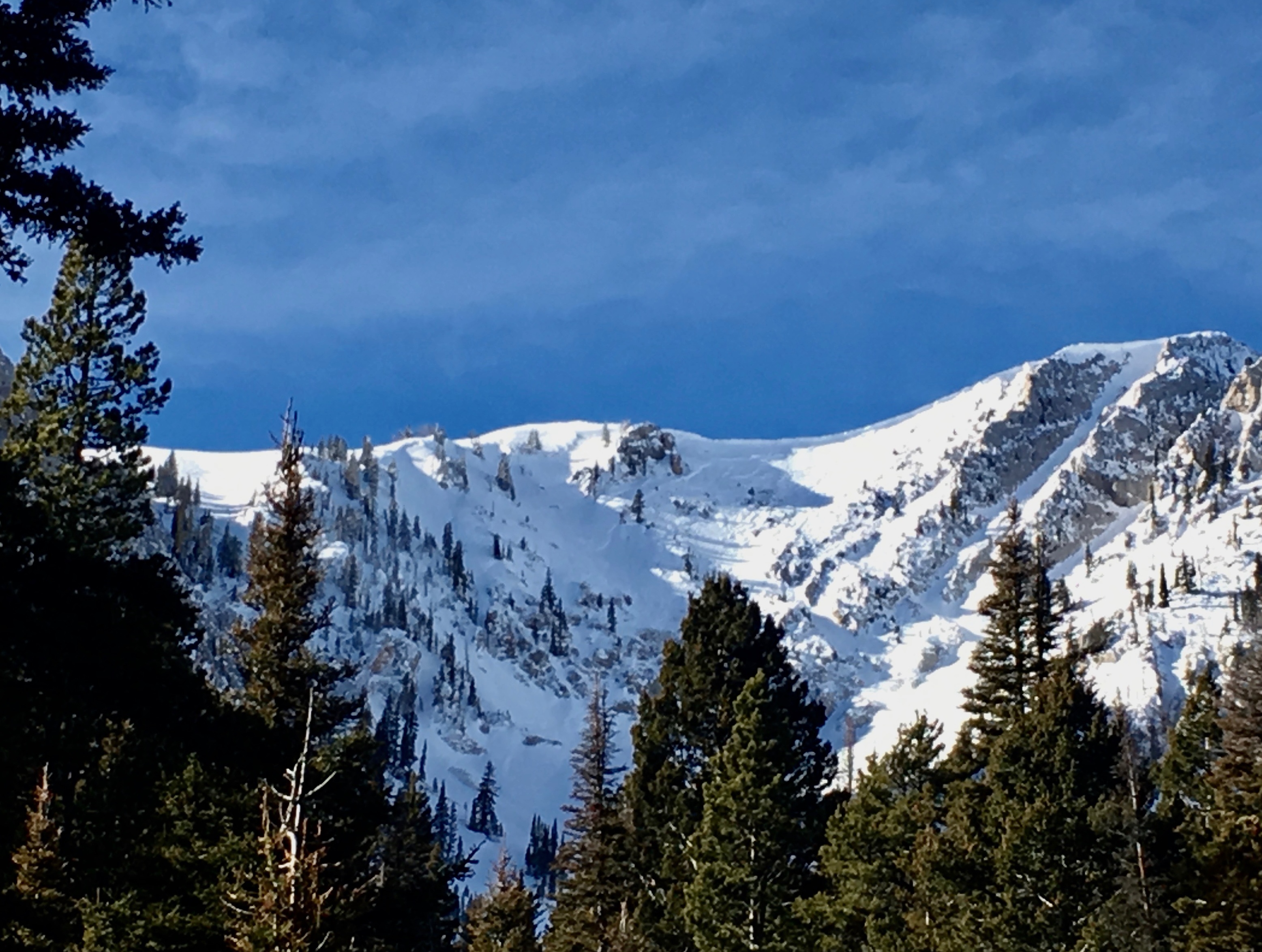 Natural Avalanche in Northern Bridgers