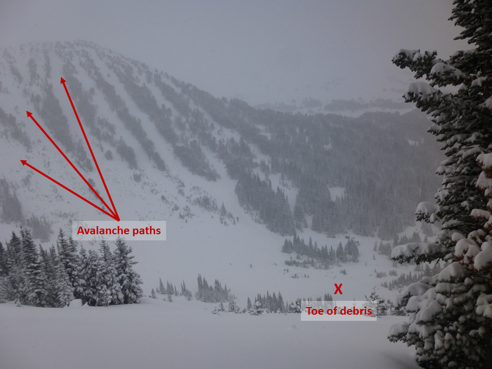 Natural avalanche near Lulu Pass