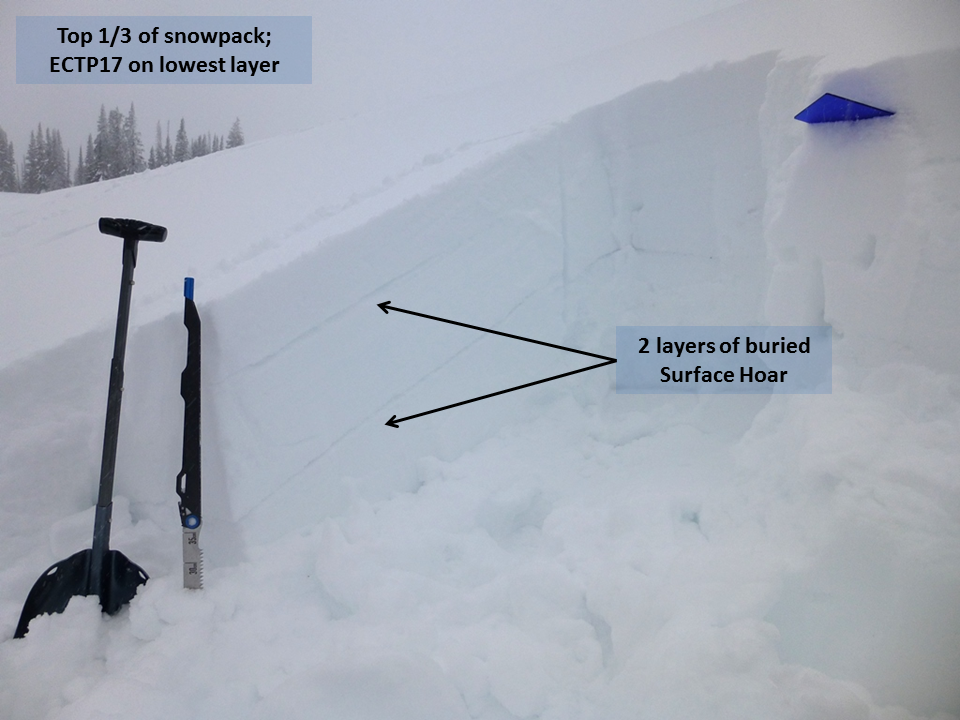 Two Layers of Buried Surface Hoar Two Layers of Buried Surface Hoar