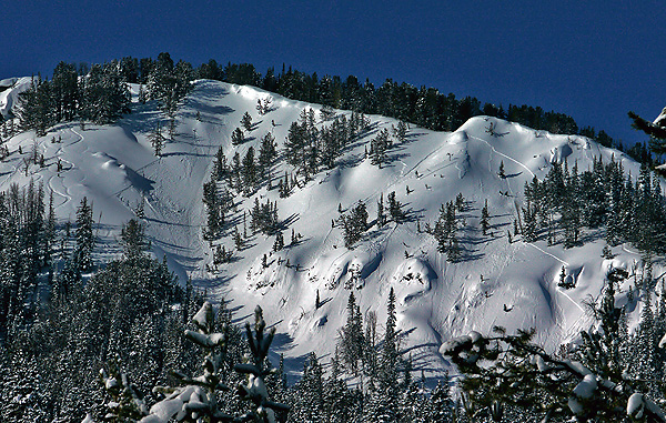 Recent avalanche near Cooke City