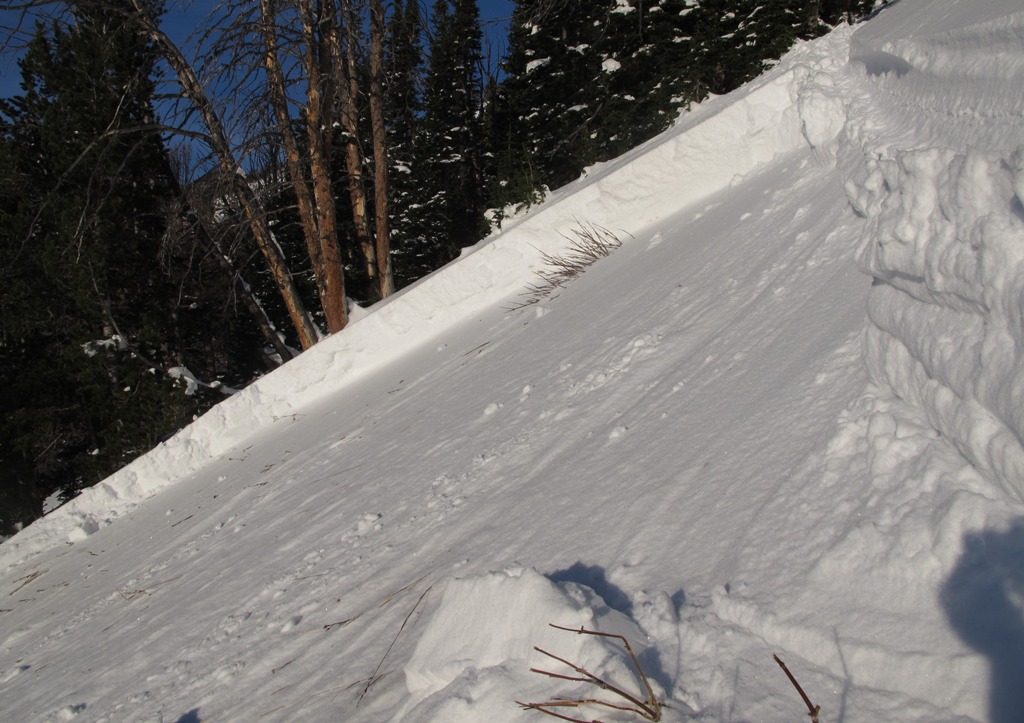 Beehive Avalanche Crown Beehive Avalanche Crown