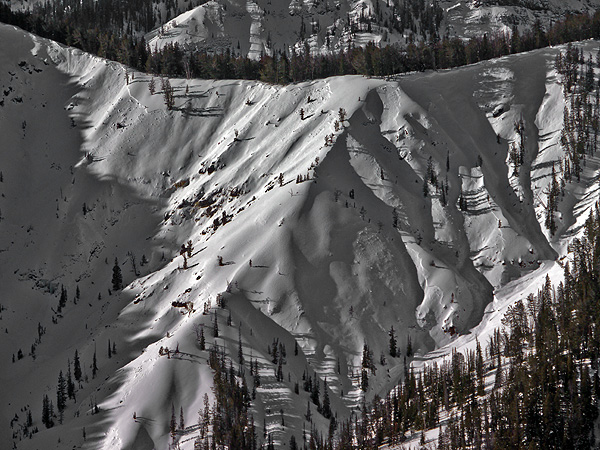 Natural Avalanche near Cooke City