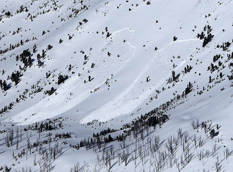 Avalanche in Sheep Creek near Cooke Avalanche in Sheep Creek near Cooke