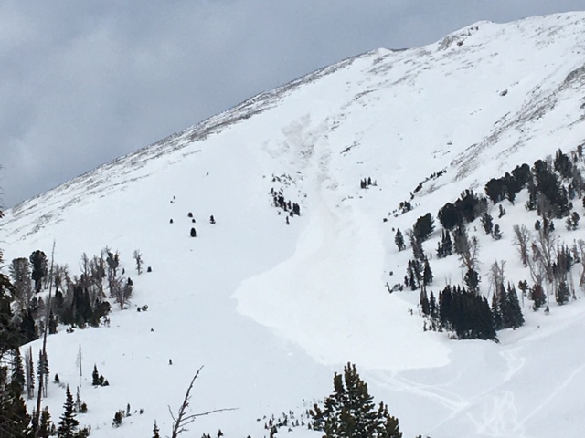 Wind slab avalanche on Sage Peak