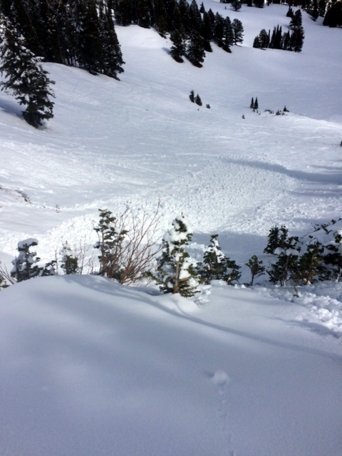 Wet loose avalanches - Bridger Bowl Wet loose avalanches - Bridger Bowl