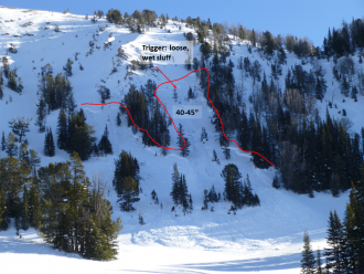 Beehive Avalanche Overview