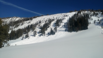 Avalanche in Beehive 3 - Jan 15