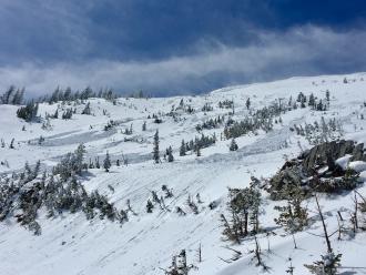 Wet loose avalanches, Saddle Peak 4/1/17