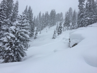 Skier triggered avalanche in storm snow near Cooke City