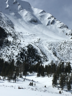 Natural avalanche on Fan Mountain 2