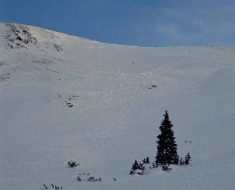 Natural Avalanche near Cooke, north of Sheep mtn.