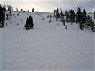 Avalanche in first Yellowmule on Buck Ridge