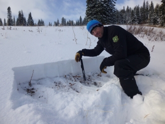 A Thin Snowpack in Lionhead