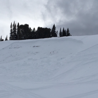 Snowmoile Triggered Buck Ridge