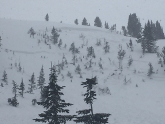 Skier triggered avalanche near Lulu Pass