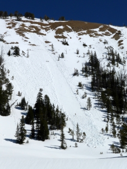 Loose snow avalanche - Beehive Basin 3/30/15