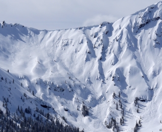 Avalanche on wind loaded slope near Cooke