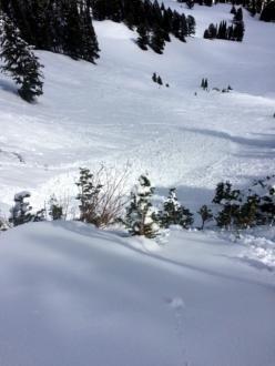 Wet loose avalanches -  Bridger Bowl 