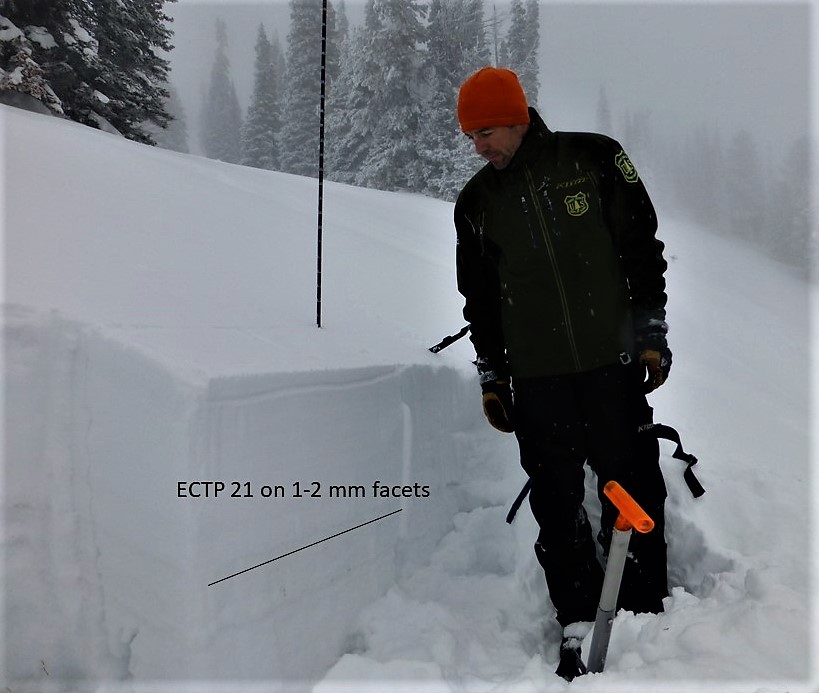 Poor snowpack structure, Lionhead | Gallatin National Forest Avalanche ...