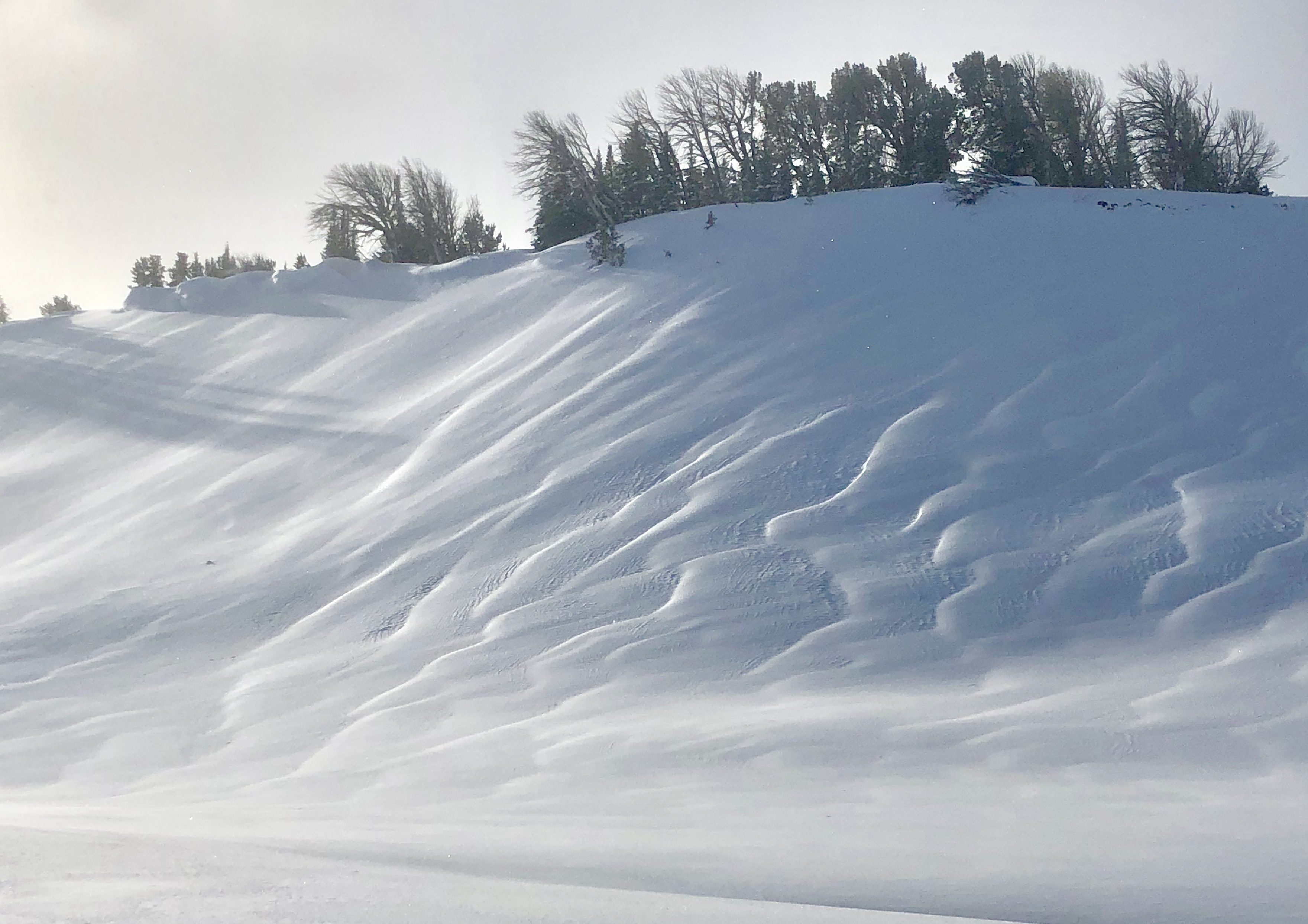 Wind loaded slope, Buck Ridge | Gallatin National Forest Avalanche Center, backcountry, 