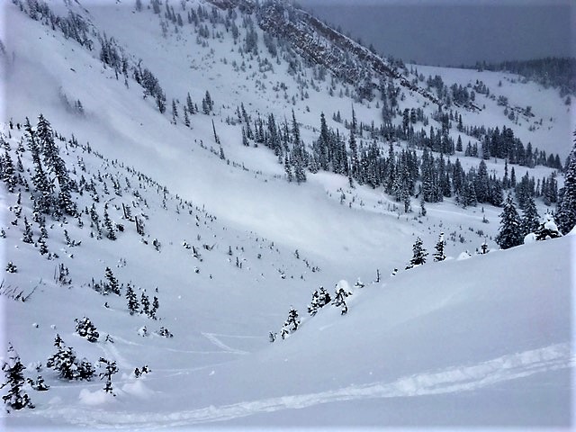 Natural Avalanche - Northern Bridgers 2/25/17