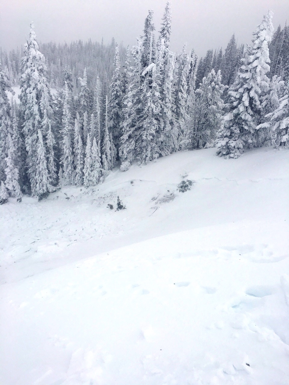 Cabin Creek Avalanche_1 Cabin Creek Avalanche_1