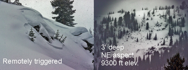 Cooke Avalanche Activity Cooke Avalanche Activity