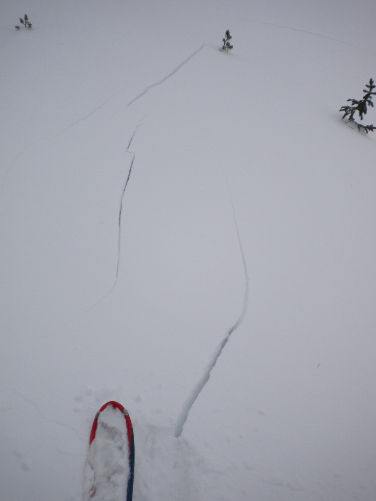 Shooting Cracks Shooting Cracks