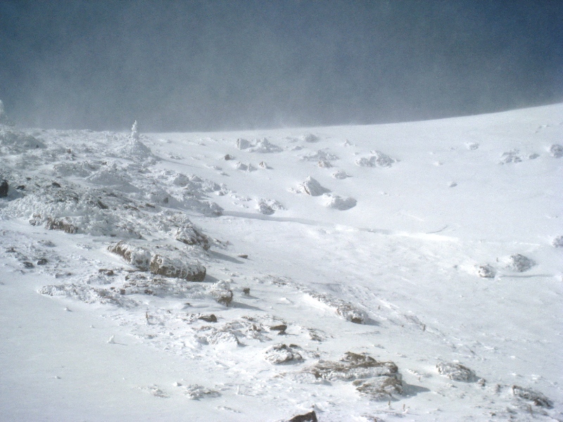 Sacajewea Avalanche Sacajewea Avalanche