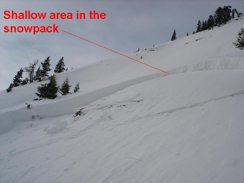 Human Triggered avalanche in northern Bridgers 1-28