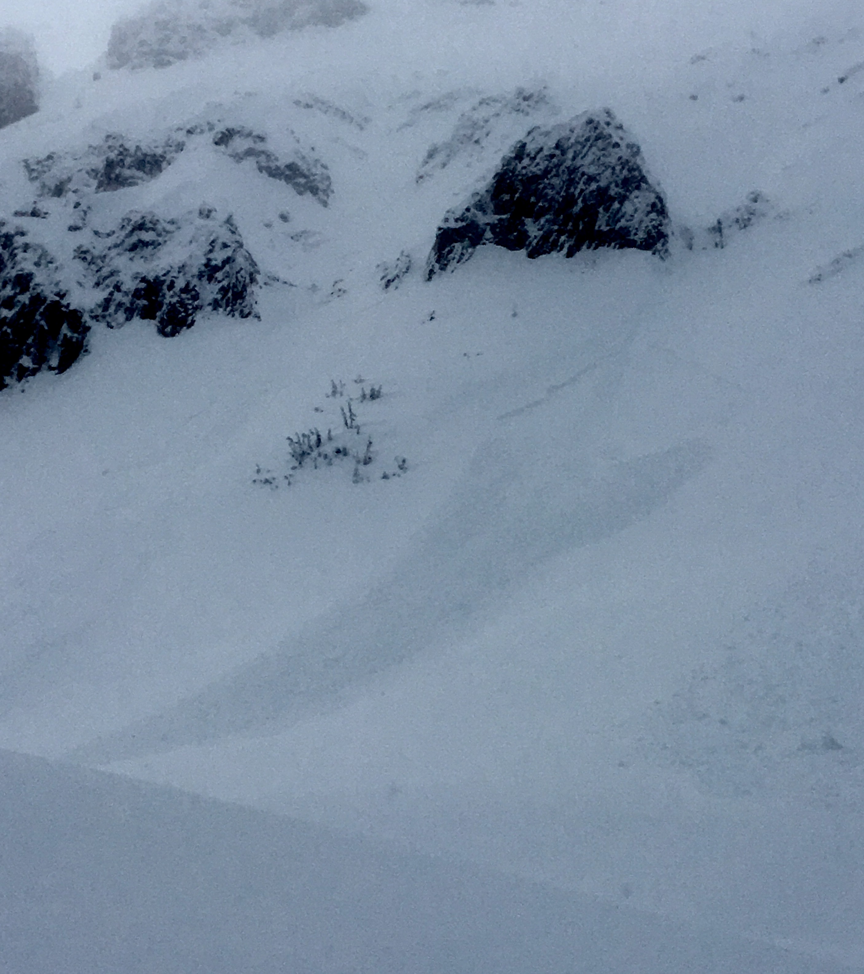 Natural Avalanche, Tepee Basin 3/1/17 Natural Avalanche, Tepee Basin 3/1/17