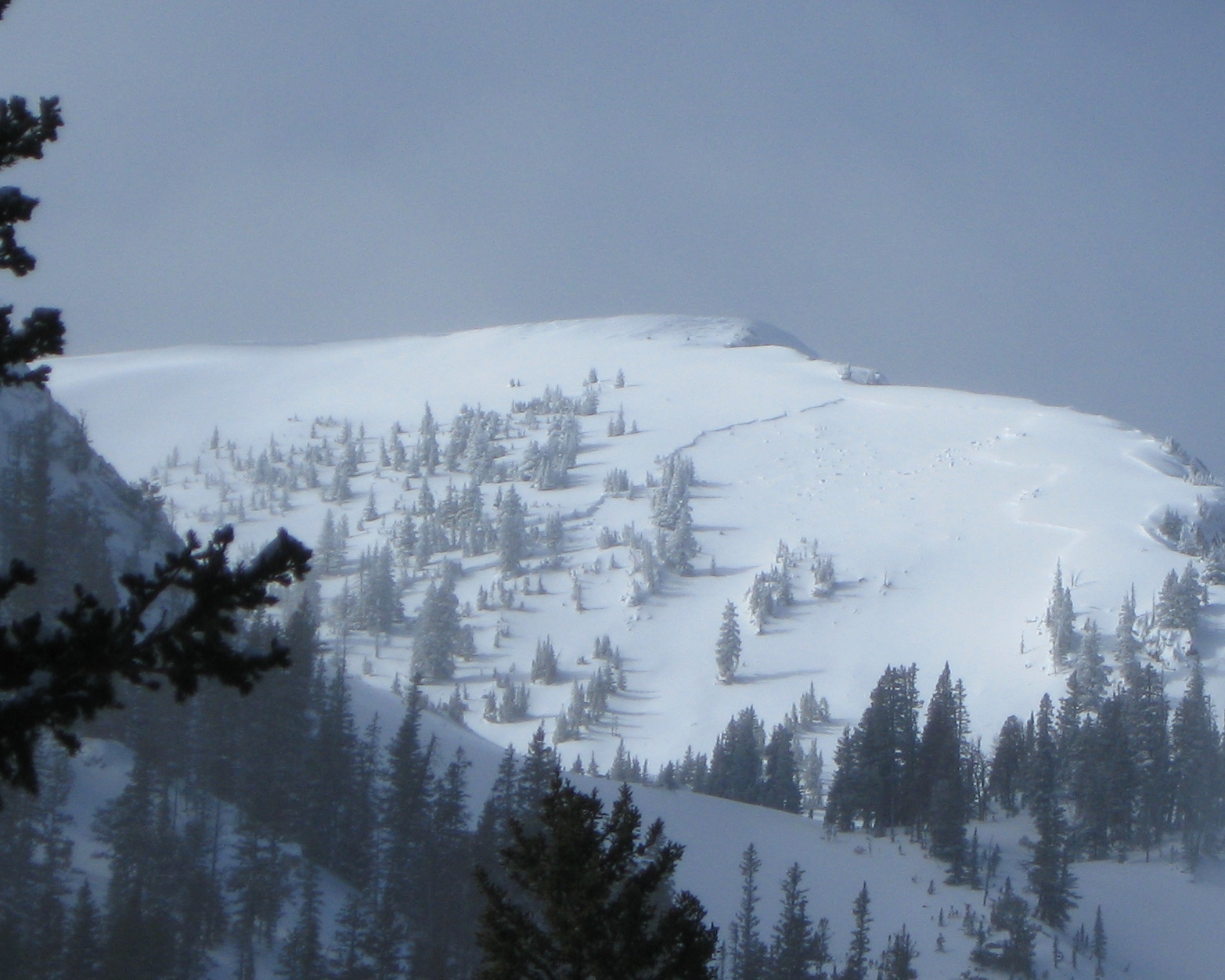 Natural Avalanche northern Bridger Range Natural Avalanche northern Bridger Range