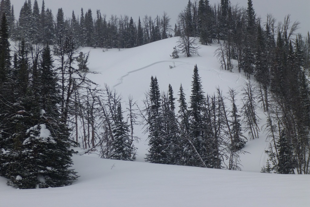 Remotely Triggered Avalanche near Carrot Basin