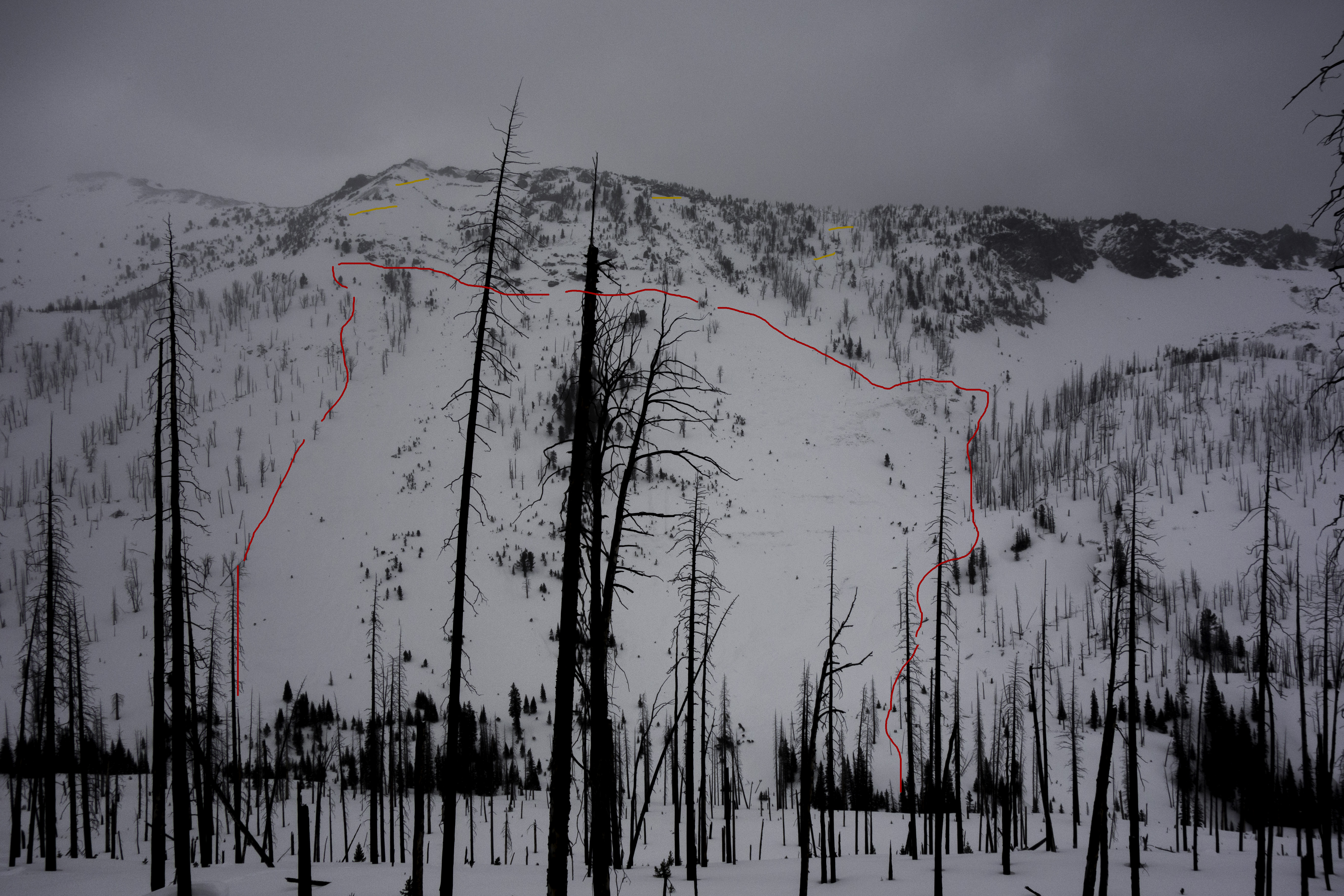Natural avalanche in Sheep Creek near Cooke Natural avalanche in Sheep Creek near Cooke