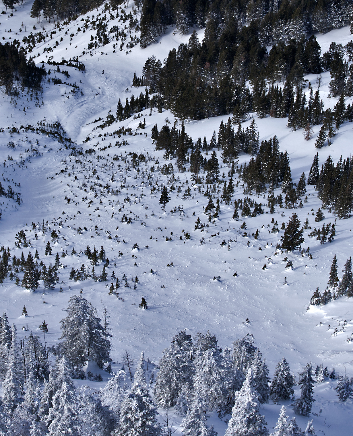 Skier Triggered Avalanche - Bridger West Side Skier Triggered Avalanche - Bridger West Side