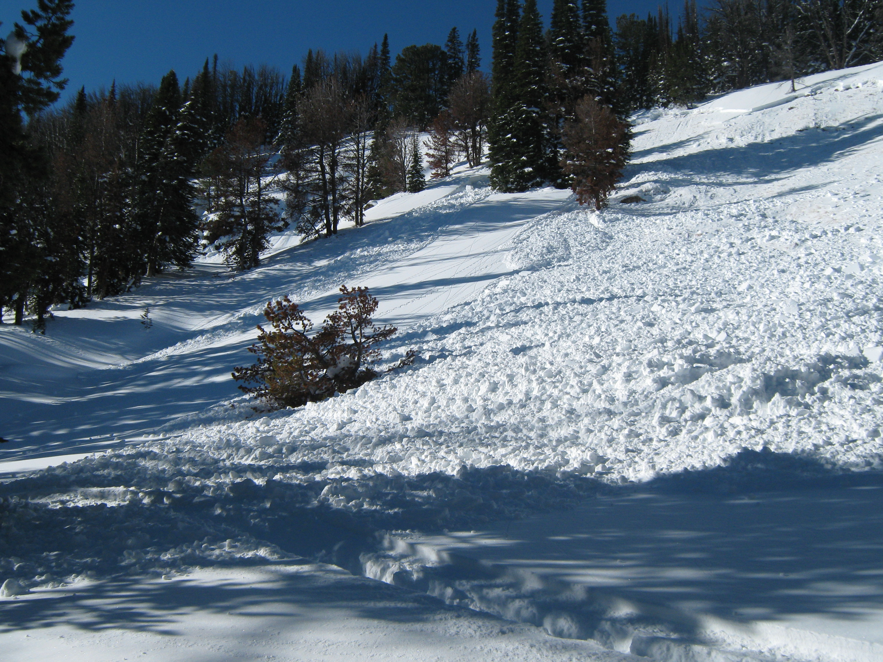 Avalanche Sunlight Basin 1-9-10 Avalanche Sunlight Basin 1-9-10