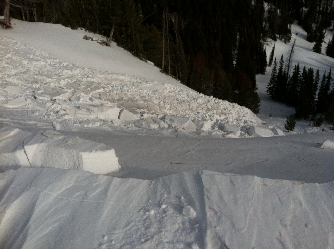 Avalanche - Taylor Fork
