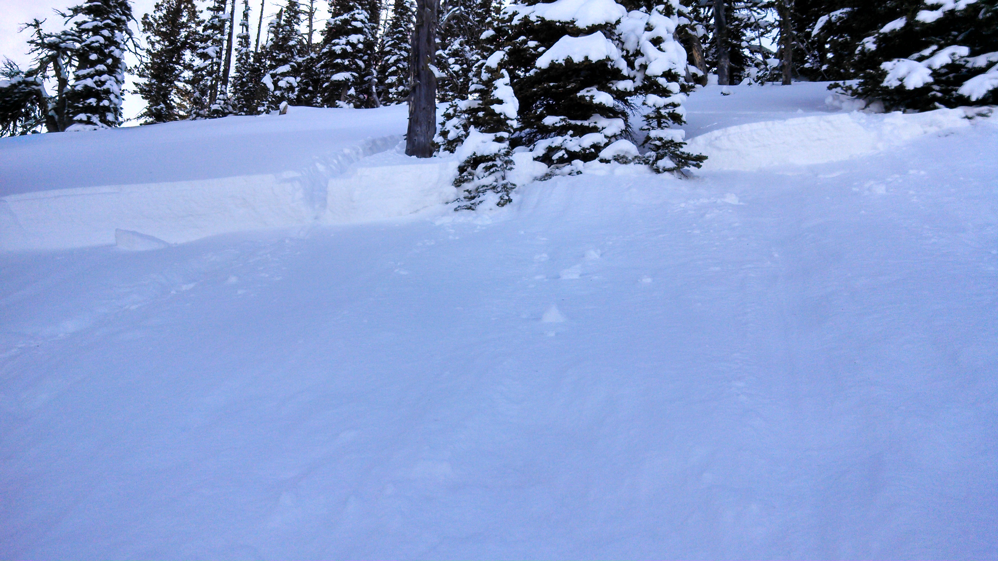 Mt Ellis Avalanche Crown Mt Ellis Avalanche Crown