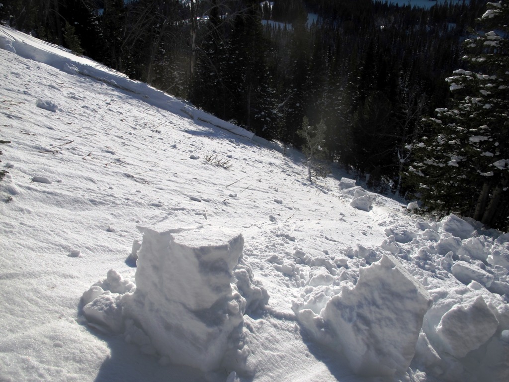 Beehive Avalanche Path