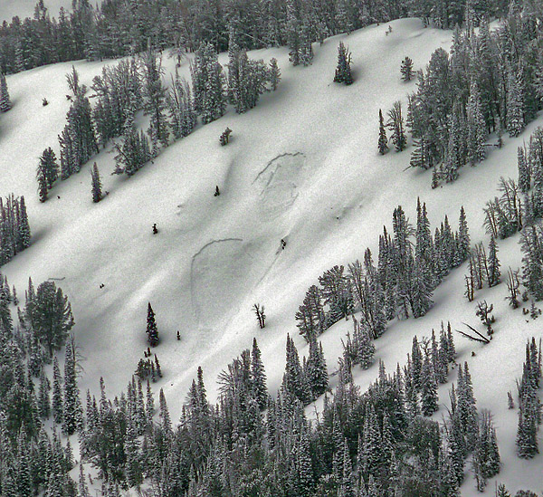 Natural Activity - Cooke City Natural Activity - Cooke City