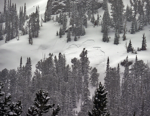 Avalanche near Cooke City Avalanche near Cooke City