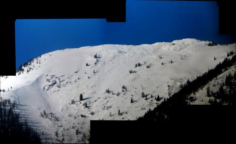 Baldy Avalanche