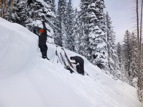 Henderson Bench_digging in crown