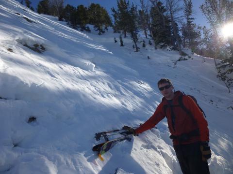 Beehive Avalanche Crown